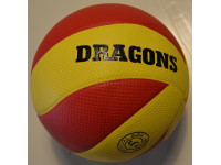 Dragon volleybal