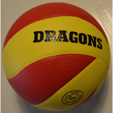 Dragon volleybal