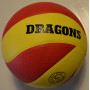 Dragon volleybal